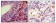 HCK Primary Antibody MP20166 [M3D12E10]