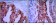 ALPP Primary Antibody MP30061 [M3E5]