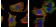 CRTC1 Primary Antibody MP30075 [M1B5]