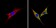 Anti-BACE2 Antibody MX-C355624