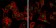 DDX4 Primary Antibody MP20408 [M2F9H5]