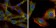 GSK3B Primary Antibody MP30006 [M3D10]