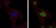 MSH6 Primary Antibody MP30299 [M3E1]