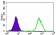 HSL Primary Antibody MP20437 [M4B7B2]