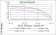 CALB2 Primary Antibody MP30793 [M1F5H1]