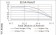 NFKBIA Primary Antibody MP30797 [M4D4C4]