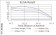 NFKBIA Primary Antibody MP30798 [M4D4F2]