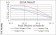 P2RY13 Primary Antibody MP30800  [M3E8C12]