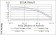PLCG2 Primary Antibody MP30803 [M1E10C11]
