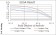 PLCG2 Primary Antibody MP30804 [M2D9E8]