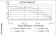 ERBB4 Primary Antibody MP30811 [M4E7G5]