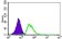 KIF11 Primary Antibody MP20442 [M3B7B2]