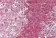 Anti-BTK Antibody IHC-plus™ MX-B14229