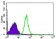 CDK4 Primary Antibody MP20445 [M4C5H9]