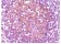 CD14 Primary Antibody MP20020 [M5A3]