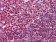 CD20 Primary Antibody MP20163 [M3E9D3C1G3]