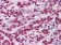 ZBTB7B Primary Antibody MP30011 [M7C12]