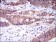 CASP8 Primary Antibody MP30279 [M1H11]