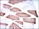 MAP2K7 Primary Antibody MP30291 [M4E5]