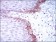 BRCA1 Primary Antibody MP30509 [M6C6D2]