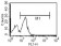 CD14 Primary Antibody MP20020 [M5A3]