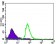 CDH5 Primary Antibody MP30447A  [M3D5C7]
