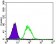 NES Primary Antibody MP30448P [M1A9G12]