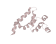 MP20003 BCL-10 Primary Antibody MP20003 [M4F8]