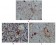 S100A1 Primary Antibody MP20119 [M2C8B8]