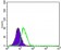 PPY Primary Antibody MP30433 [M2G5D12]