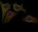 CD3E Primary Antibody MP30036R rabbit pAb