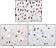 P16 (Mouse and Human) Primary Antibody MP20129 [M2D9A12]
