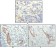 CD31 Primary Antibody MP20131 [M2F7B2]