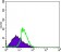 DDX4 Primary Antibody MP20408 [M2F9H5]