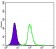 GSTP1 Primary Antibody MP20099 [M3F2C2]