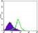 Metadherin Primary Antibody MP20407 [M2F11C3]