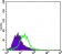 KRT15 Primary Antibody MP20410 [M6E7]