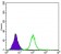 ApoB Primary Antibody MP30214 [M6G6]