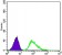 TUBB3 Primary Antibody MP20374 [M2E9]