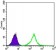 CTNNB1 Primary Antibody MP20412 [M4D5]