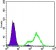 FABP2 Primary Antibody MP20416 [M9A9B7B3]