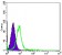CHD3 Primary Antibody MP20422 [M2G4]