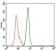 PPP1CC Primary Antibody MP20438 [M3D5C7]