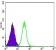 GSK3B Primary Antibody MP30006 [M3D10]