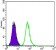 DKK3 Primary Antibody MP30010 [M4G7]
