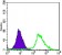 p44/42 MAPK (Erk1/2) Primary Antibody MP30014 [M3F8]