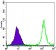 PARP Primary Antibody MP30016 [M7A10]