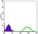ETS1 Primary Antibody MP30018  [M8A8]