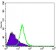 NKX3A Primary Antibody MP30027 [M4H4]