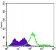 CD3E Primary Antibody MP30036 [M4E2]